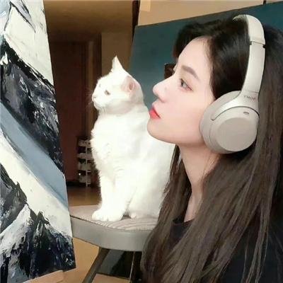 王牌总裁霸王花